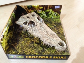 Exo Terra Crocodile Skull