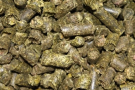 Luzerne Pellets für die Schildkröten