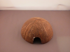 Kokosnusshaus Gross