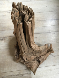 Thai Tree Trunk  1