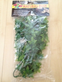 Zoomed Congo Ivy small