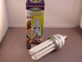 Drago-Lux Compact 12.0  36watt
