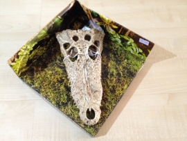 Exo Terra Crocodile Skull