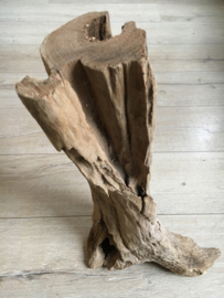Thai Tree Trunk  2