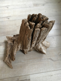 Thai Tree Trunk  1