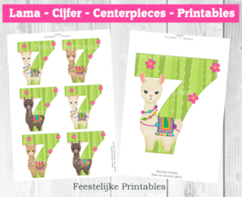 Lama Cijfer Centerpieces