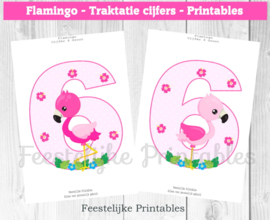 Flamingo traktatie cijfers