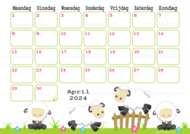April 2024 kalender Schapen - Dieren