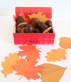 Herfst blaadjes GRATIS printable