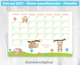 Februari 2023 kalender Baby Luiaard - Dieren