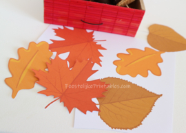 Herfst blaadjes GRATIS printable