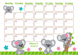 Maart 2023 kalender Koala Beren - Dieren