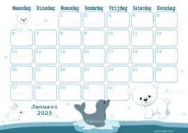 Januari 2025 kalender IJsberen - Dieren