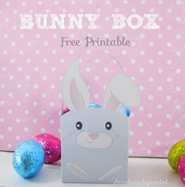 Bunny Box