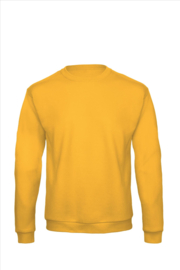 SWEATER BROODNODIG