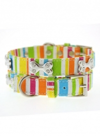 Striped Neon Canvas Diamant Bone halsband met lijn