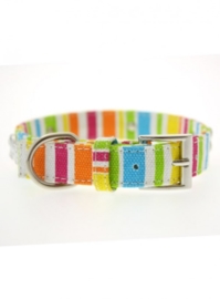 Striped Neon Canvas Diamant Bone halsband met lijn