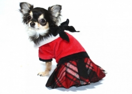 Red plaid Jumper with Skirt 