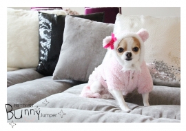 Pretty Pet Bunny Jumper Roze