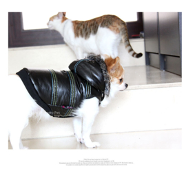 Pretty Pet metallic Jacket