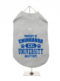 Harnas T-Shirt Property of Chihuahua University