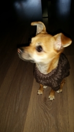 Diva met haar nieuwe trui