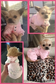 Dolly met haar nieuwe jumper