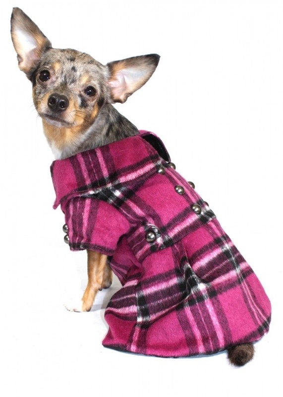 enthousiast condoom woestenij Jassen voor Honden , Chihuahua | 4