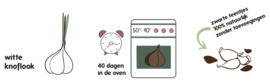 Zwarte knoflook