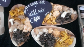 Wild mix 300 gram