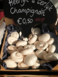 Witte Champignon 100 gram