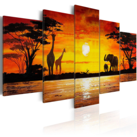 Afrika Olifant Giraffe 100x50cm nr703