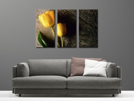 Gele Tulpen