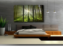 Green Forrest / Groene Bos