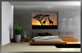 Afrika Giraffe