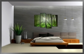 Green Forrest / Groene Bos