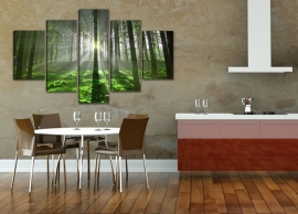 Green Forrest XXL