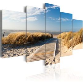 Noordzee Strand Duinen 100x50cm nr907