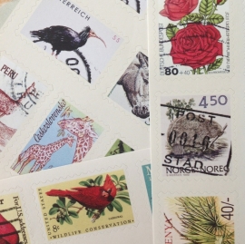 Stickers Stamp Nature