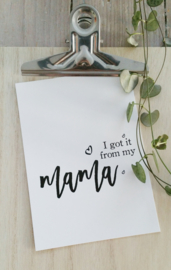 i got it from my MAMA - postcard