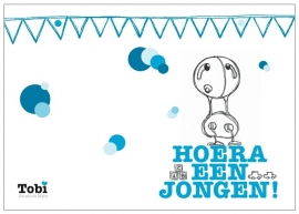 Hoera Een Jongen - Bebi Tobi