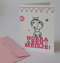 Hoera Een Meisje - Bebi Tobi