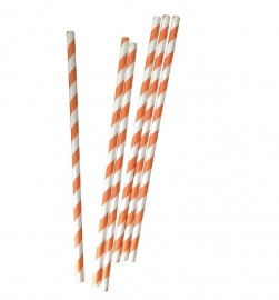 Paper Straws - Orange