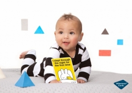 Milestone Baby Cards Miffy