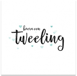 hoera een tweeling!