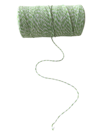 Divine Twine Groen - rol