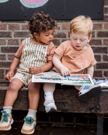 Het vrolijke stadsdieren flapjesboek