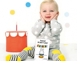 Milestone Baby Cards Nijntje NL