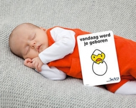 Milestone Baby Cards Nijntje ENG
