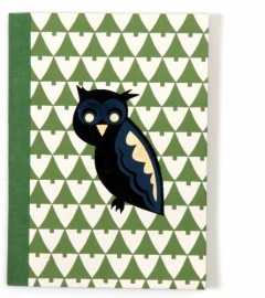 Notebook Owls in Woods